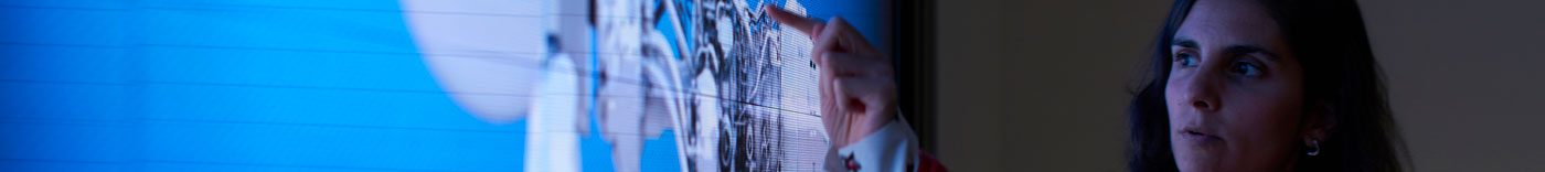 Bild zu IT Service Quality Lead Americas